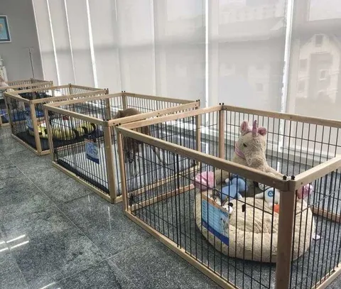 โรงพยาบาลสัตว์ทองหล่อ เชียงใหม่