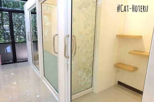 โรงแรมแมว Cat Hoteru 1