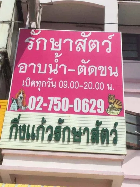 กิ่งแก้วรักษาสัตว์ 1