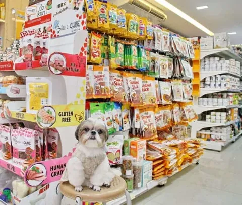 โรงพยาบาลสัตว์ทองหล่อ