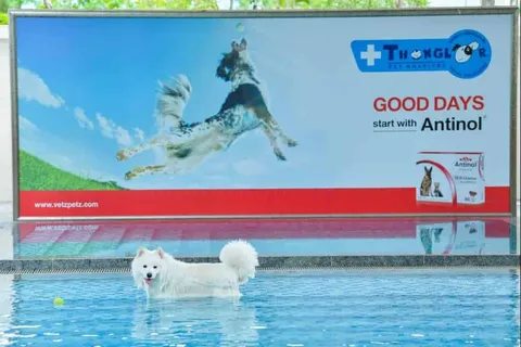 โรงพยาบาลสัตว์ทองหล่อ