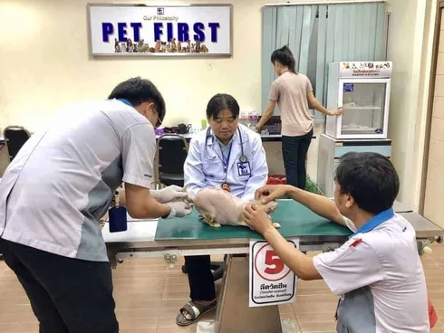 โรงพยาบาลสัตว์สวนหลวงสัตวแพทย์ SLV Pet Hospital 1