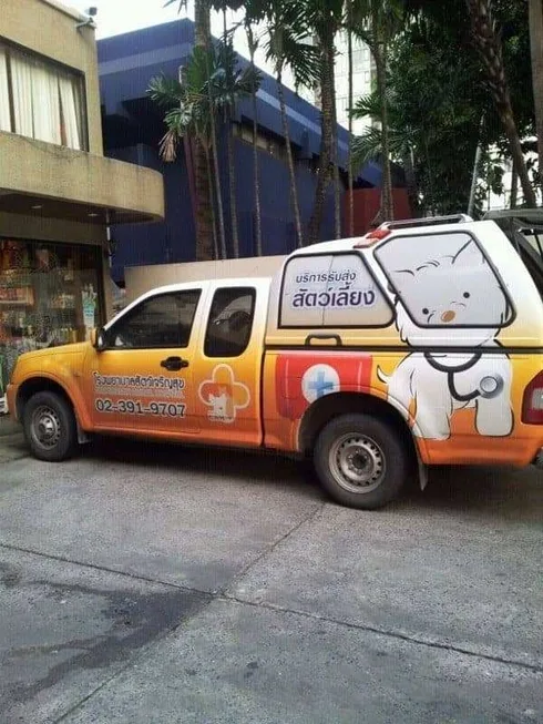 โรงพยาบาลสัตว์เจริญสุข Charoensuk Animal Hospital 1