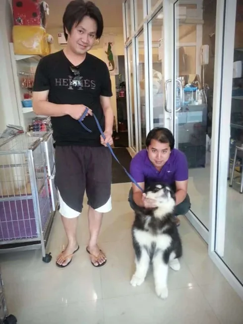 SANOOK DOGS GROOMING (ลาดกระบัง 5/5) 1