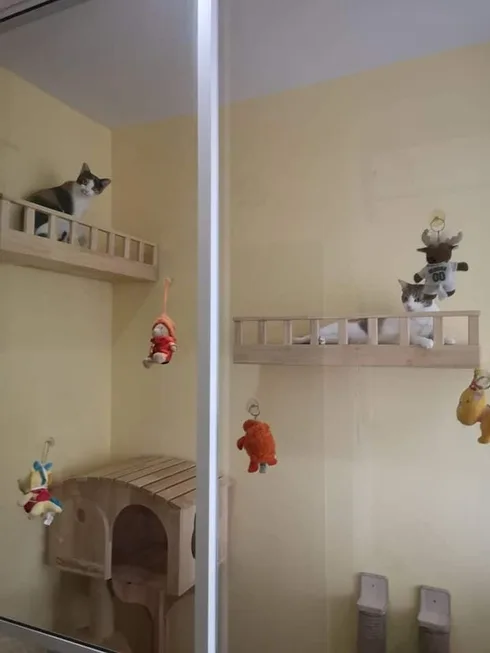 Camping Cat (แคมป์ปิ้ง แคท) Cat Hotel 1