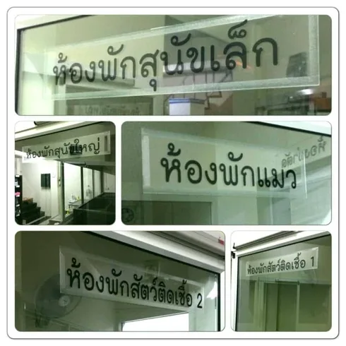 โรงพยาบาลสัตว์ ดีรักษ์ (พระราม3) 1