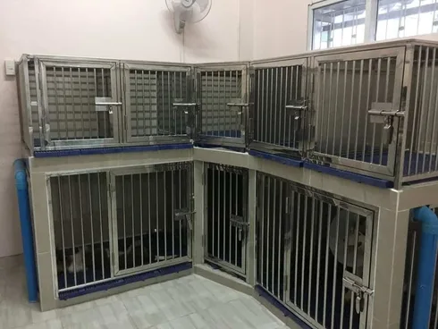 โรงพยาบาลสัตว์ลาดปลาดุก LPD Pet Hospital 1
