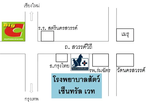 Central Vet (โรงพยาบาลสัตว์เซ็นทรัลเวท) 1