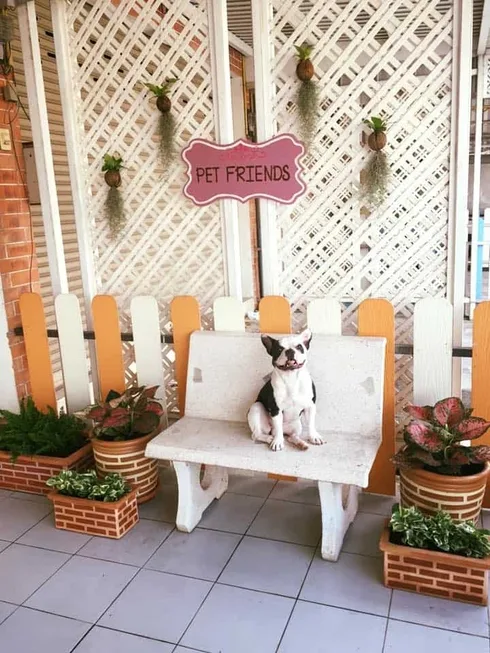 คลินิกเพื่อนสัตว์เลี้ยงศรีราชา Petfriends Animal Clinic 1