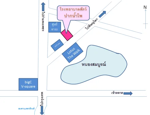 Paknampho Animal Hospital (โรงพยาบาลสัตว์ปากน้ำโพ) 1