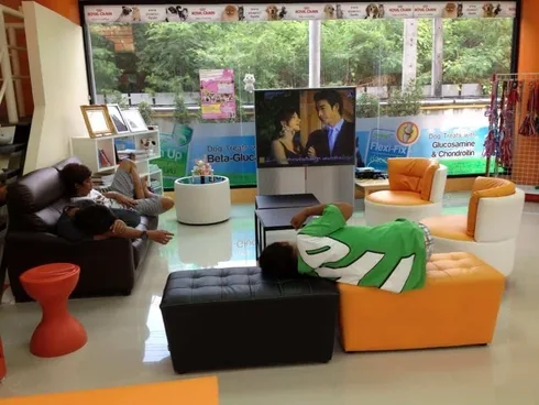 Phundhaphat Pet Hospital (โรงพยาบาลสัตว์พันธพัฒน์) 1