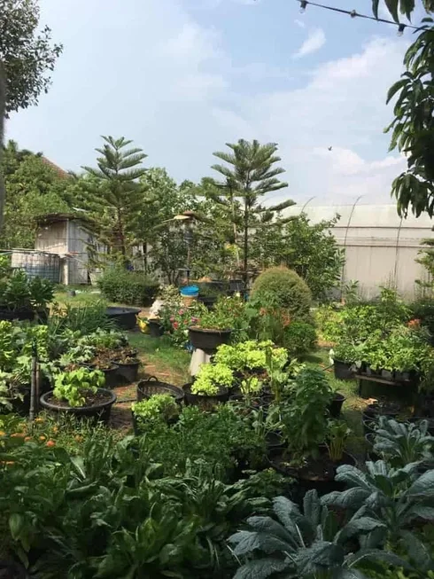 Farmily - a cafe in farm ฟาร์มมิลี่ คาเฟ่ 1