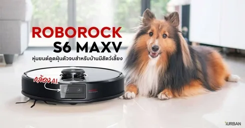 10 ไอเดียกำจัดกลิ่นสุนัข เลี้ยงหมาในบ้านยังไงไม่เหม็น? 10 10 ไอเดียกำจัดกลิ่นสุนัข เลี้ยงหมาในบ้านยังไงไม่เหม็น? 10