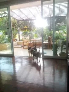 ยาหยี รีสอร์ท (Yayee House Angsila) 1