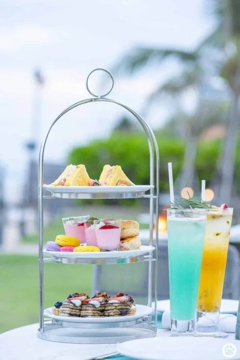 Avani+ Hua Hin สุนัขพักได้ กับ 16 ข้อดี Pet Friendly ดีที่สุดแห่งหนึ่งในไทย (รีสอร์ท 5 ดาว) 17 Avani+ Hua Hin สุนัขพักได้ กับ 16 ข้อดี Pet Friendly ดีที่สุดแห่งหนึ่งในไทย (รีสอร์ท 5 ดาว) 17