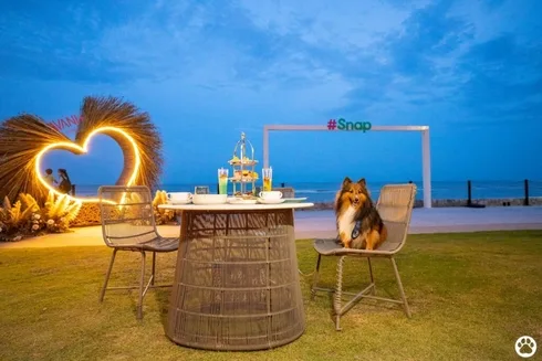 Avani+ Hua Hin สุนัขพักได้ กับ 16 ข้อดี Pet Friendly ดีที่สุดแห่งหนึ่งในไทย (รีสอร์ท 5 ดาว) 45 Avani+ Hua Hin สุนัขพักได้ กับ 16 ข้อดี Pet Friendly ดีที่สุดแห่งหนึ่งในไทย (รีสอร์ท 5 ดาว) 45