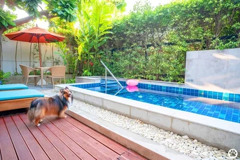 Avani+ Hua Hin สุนัขพักได้ กับ 16 ข้อดี Pet Friendly ดีที่สุดแห่งหนึ่งในไทย (รีสอร์ท 5 ดาว) 2 Avani+ Hua Hin สุนัขพักได้ กับ 16 ข้อดี Pet Friendly ดีที่สุดแห่งหนึ่งในไทย (รีสอร์ท 5 ดาว) 2