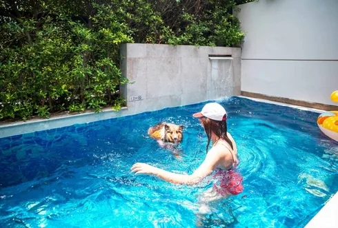 Avani+ Hua Hin สุนัขพักได้ กับ 16 ข้อดี Pet Friendly ดีที่สุดแห่งหนึ่งในไทย (รีสอร์ท 5 ดาว) 21 Avani+ Hua Hin สุนัขพักได้ กับ 16 ข้อดี Pet Friendly ดีที่สุดแห่งหนึ่งในไทย (รีสอร์ท 5 ดาว) 21