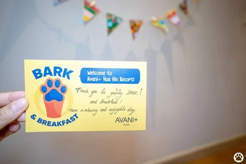 Avani+ Hua Hin สุนัขพักได้ กับ 16 ข้อดี Pet Friendly ดีที่สุดแห่งหนึ่งในไทย (รีสอร์ท 5 ดาว) 78 Avani+ Hua Hin สุนัขพักได้ กับ 16 ข้อดี Pet Friendly ดีที่สุดแห่งหนึ่งในไทย (รีสอร์ท 5 ดาว) 77