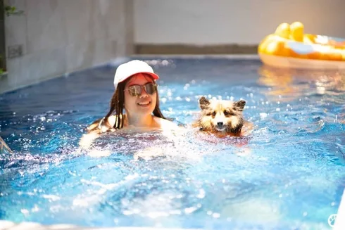Avani+ Hua Hin สุนัขพักได้ กับ 16 ข้อดี Pet Friendly ดีที่สุดแห่งหนึ่งในไทย (รีสอร์ท 5 ดาว) 1 Avani+ Hua Hin สุนัขพักได้ กับ 16 ข้อดี Pet Friendly ดีที่สุดแห่งหนึ่งในไทย (รีสอร์ท 5 ดาว) 1