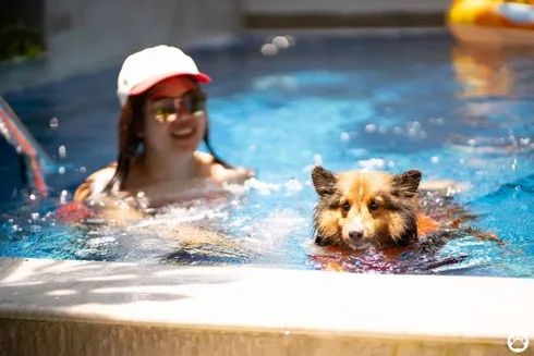 Avani+ Hua Hin สุนัขพักได้ กับ 16 ข้อดี Pet Friendly ดีที่สุดแห่งหนึ่งในไทย (รีสอร์ท 5 ดาว) 20 Avani+ Hua Hin สุนัขพักได้ กับ 16 ข้อดี Pet Friendly ดีที่สุดแห่งหนึ่งในไทย (รีสอร์ท 5 ดาว) 20