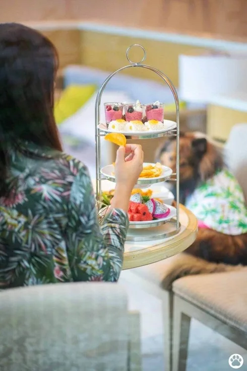 Avani+ Hua Hin สุนัขพักได้ กับ 16 ข้อดี Pet Friendly ดีที่สุดแห่งหนึ่งในไทย (รีสอร์ท 5 ดาว) 85 Avani+ Hua Hin สุนัขพักได้ กับ 16 ข้อดี Pet Friendly ดีที่สุดแห่งหนึ่งในไทย (รีสอร์ท 5 ดาว) 84