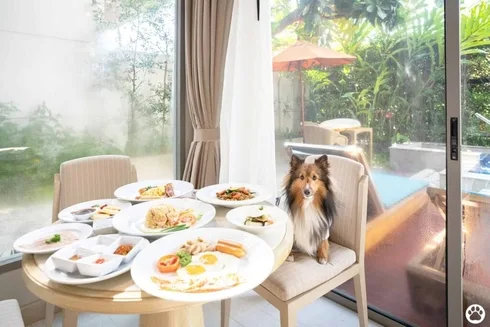 Avani+ Hua Hin สุนัขพักได้ กับ 16 ข้อดี Pet Friendly ดีที่สุดแห่งหนึ่งในไทย (รีสอร์ท 5 ดาว) 61 Avani+ Hua Hin สุนัขพักได้ กับ 16 ข้อดี Pet Friendly ดีที่สุดแห่งหนึ่งในไทย (รีสอร์ท 5 ดาว) 61