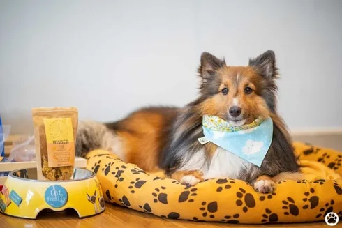 Avani+ Hua Hin สุนัขพักได้ กับ 16 ข้อดี Pet Friendly ดีที่สุดแห่งหนึ่งในไทย (รีสอร์ท 5 ดาว) 79 Avani+ Hua Hin สุนัขพักได้ กับ 16 ข้อดี Pet Friendly ดีที่สุดแห่งหนึ่งในไทย (รีสอร์ท 5 ดาว) 78