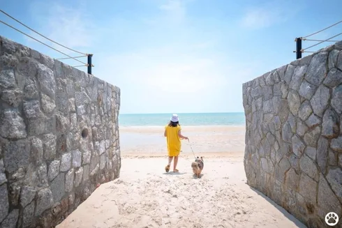 Avani+ Hua Hin สุนัขพักได้ กับ 16 ข้อดี Pet Friendly ดีที่สุดแห่งหนึ่งในไทย (รีสอร์ท 5 ดาว) 49 Avani+ Hua Hin สุนัขพักได้ กับ 16 ข้อดี Pet Friendly ดีที่สุดแห่งหนึ่งในไทย (รีสอร์ท 5 ดาว) 49