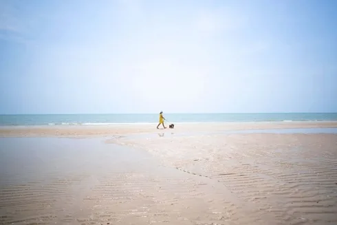 Avani+ Hua Hin สุนัขพักได้ กับ 16 ข้อดี Pet Friendly ดีที่สุดแห่งหนึ่งในไทย (รีสอร์ท 5 ดาว) 50 Avani+ Hua Hin สุนัขพักได้ กับ 16 ข้อดี Pet Friendly ดีที่สุดแห่งหนึ่งในไทย (รีสอร์ท 5 ดาว) 50