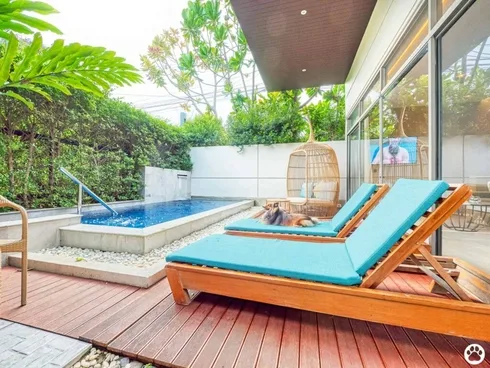 Avani+ Hua Hin สุนัขพักได้ กับ 16 ข้อดี Pet Friendly ดีที่สุดแห่งหนึ่งในไทย (รีสอร์ท 5 ดาว) 31 Avani+ Hua Hin สุนัขพักได้ กับ 16 ข้อดี Pet Friendly ดีที่สุดแห่งหนึ่งในไทย (รีสอร์ท 5 ดาว) 31