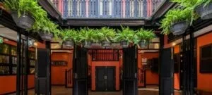 Kanin The Rabbit Tea Room (สามเสน) 1