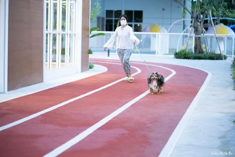DOGs PAW คอมมูนิตี้หมาแห่งใหม่ที่ดีงาม 12 เหตุผลที่อยากแนะนำให้ทุกท่านมาดูงาน! 11 DOGs PAW คอมมูนิตี้หมาแห่งใหม่ที่ดีงาม 12 เหตุผลที่อยากแนะนำให้ทุกท่านมาดูงาน! 11