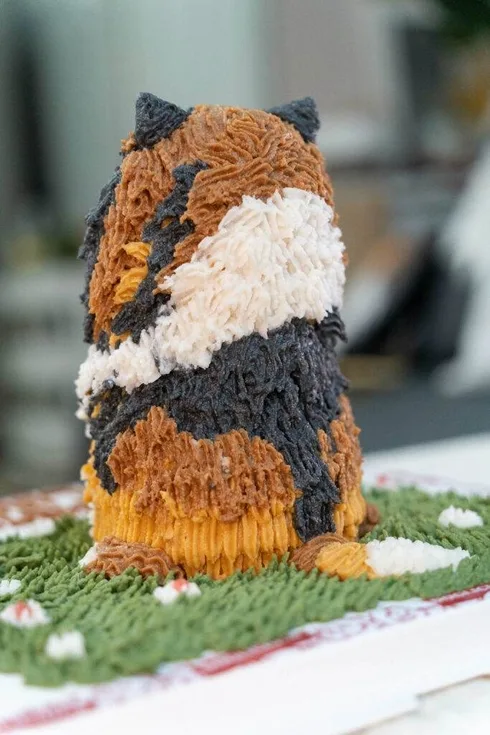 วิธีเลือกเค้กวันเกิดให้น้องหมา 4 ร้านเค้กสุนัข สูตรเฉพาะที่คิดค้นให้อร่อย และปลอดภัยต่อสัตว์เลี้ยง 5 วิธีเลือกเค้กวันเกิดให้น้องหมา 4 ร้านเค้กสุนัข สูตรเฉพาะที่คิดค้นให้อร่อย และปลอดภัยต่อสัตว์เลี้ยง 5